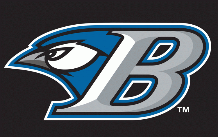 Bluefield Blue Jays 2011 Cap Logo iron on heat transfer
